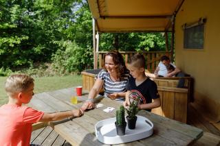 RCN Vakantiepark de Roggeberg - 7