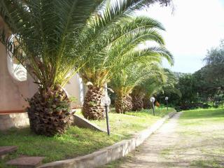Villa del Palmeto - Badesi - 0