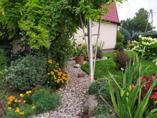 Domek u Halinki - Malbork - 8