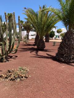 Casa Delores - Playa Blanca - 8