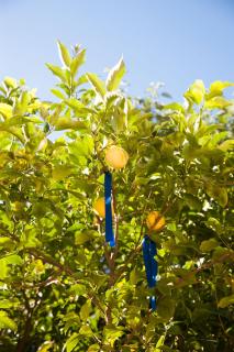 Garden House Kavala, Modern Apartment with BBQ, Motorcycle Parking & Beach Access - 8