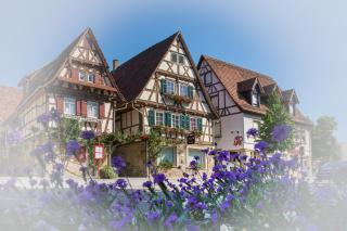 Pension Amthof - Oberderdingen - 1