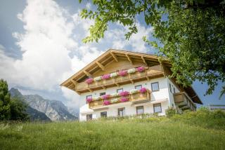 Kaiserwinkl Apartments Daxer - Walchsee - 0