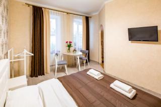 Cute Apartment in the City Center - Lviv - 9