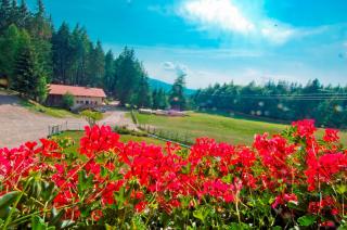 Gasthof Schneiderwiesen - Laives - 4