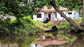 Ayana's Homestay - Alappuzha - 4