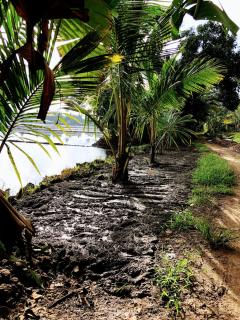 Ayana's Homestay - Alappuzha - 5