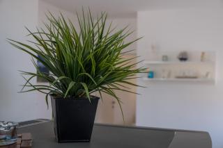 Apartman Filip - Mali Lošinj - 1