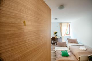 Sunny Rooms - Most na Soči - 9