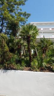 The Gatsby Mansion - Antibes - 4
