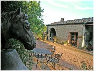Centro Ippico Della Berardenga - Castelnuovo Berardenga - 2