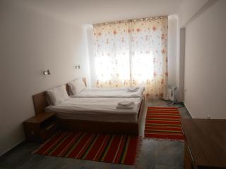 Monastery 3 Apartments TMF - Pamporovo - 4