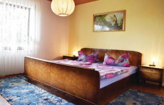 Amazing Apartment In Rickenbach - Rickenbach - 1