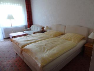 Wolfs Hotel - 9