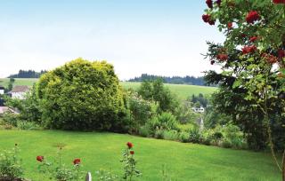 Amazing Apartment In Rickenbach - Rickenbach - 4