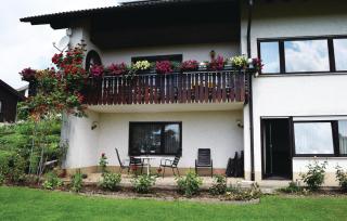 Amazing Apartment In Rickenbach - Rickenbach - 5