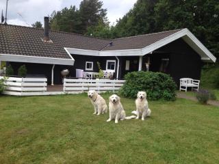 Dejligt feriehus med Panoramaudsigt - 9