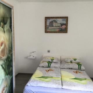 Lovely home - Balatonberény - 1