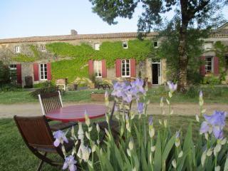 Logis de Bois Roche (2) - Saint-Bonnet-sur-Gironde - 4
