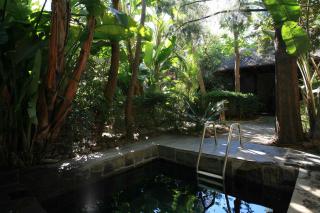 Misty Hills Country Hotel, Conference Centre & Spa - 5