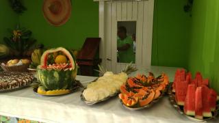 Hotel Vale Verde - Porto Seguro - 1