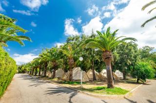 Camping Paloma - 6