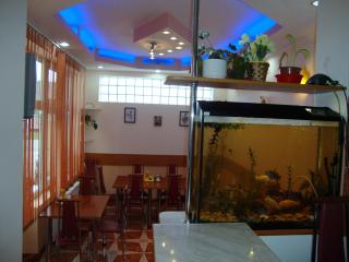 Pensiunea Olimp - Arad - 3