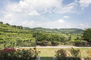 Corte dei Soavi Suites - Apartments - Soave - 1
