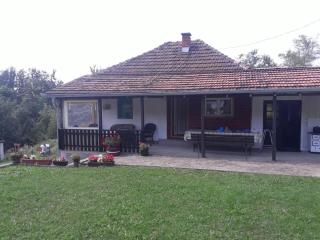 Guca village home - 9