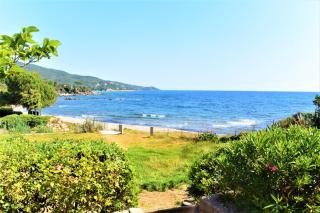CANELLA 3 - 9