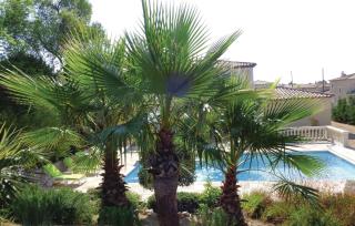 Amazing Home In Roquebrune Sur Argens - Roquebrune-sur Argens - 1