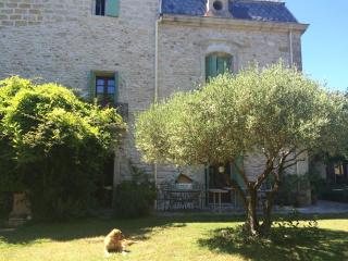 Les Fontaines du Mas des Fontaines - Montagnac - 6