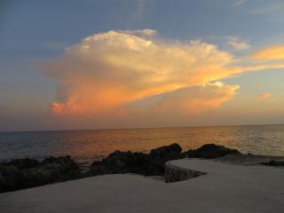 Tingalaya's Retreat - Negril - 1