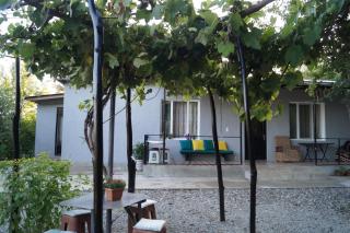 Beehives - Kutaisi - 1