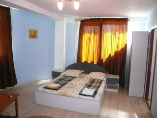 Pensiunea Nicol Tulcea - Tulcea - 2