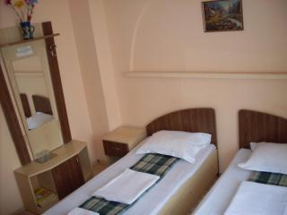 Pensiunea Nicol Tulcea - Tulcea - 1