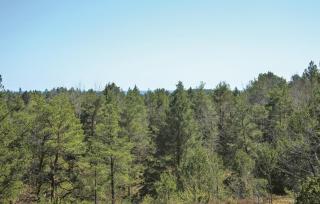 Holiday Home Risor With Fireplace I - 3