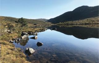 Tjeldøya - Dragland - 9
