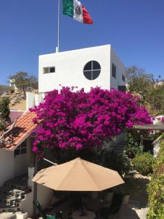 Los Milagros Hotel - Cabo San Lucas - 3