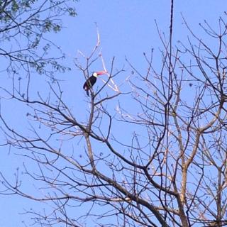 Iguassu Guest Country House - 1