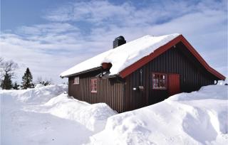 Cozy Home In Sjusjøen With Kitchen - Sjusjøen - 6