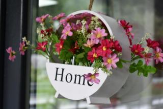 New Green - Slănic-Moldova - 0