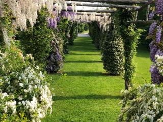 Venicegreen Agriresort - Tessera - 4