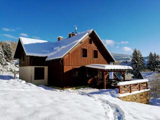 Apartment Rokys - Rokytnice nad Jizerou - 8