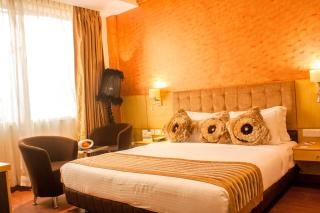 Ramada Neemrana - Neemrana - 5