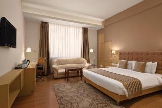 Ramada Neemrana - Neemrana - 3