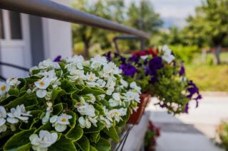 Apartments Heaven - Cetinje (Cettigne) - 4