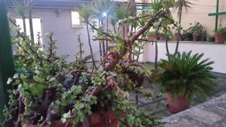 case vacanze, La casa di Angelo, con terrazzo - Oria - 0