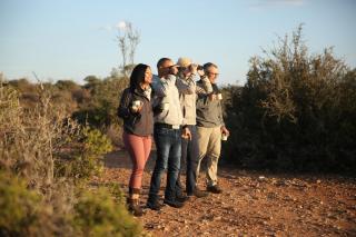 De Opstal Country Lodge - Oudtshoorn - 1