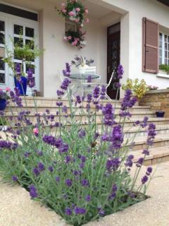 Les portes du vignoble - Nuits-Saint-Georges - 0